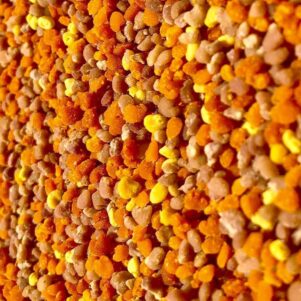 Pollen Corse