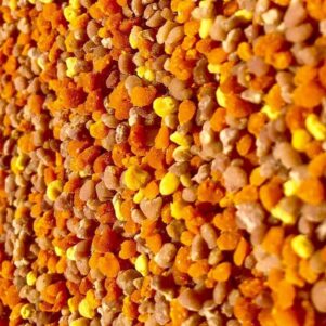 Pollen Corse