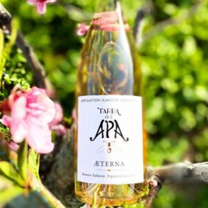 Aeterna Rosé 2025